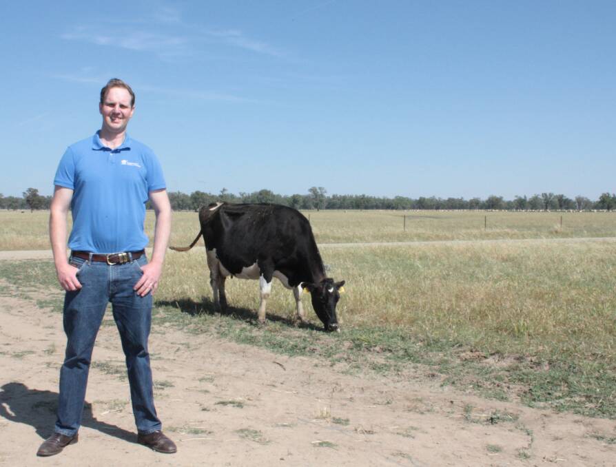 Peter Havrlant, Department of Primary Industries dairy development officer, was awarded the 2016 Jack Green Churchill Fellowship which he will use to identify production systems to maximise the value of male dairy calves. 