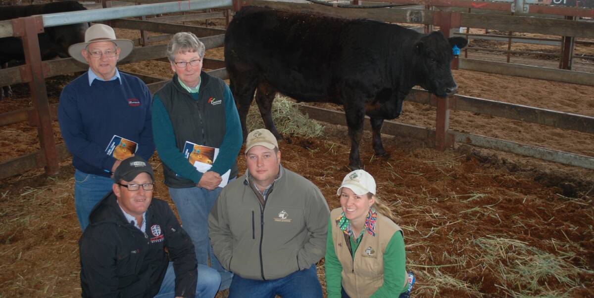 Michael and Mary Parsons, Kia Ora Limousin Stud, Roslyn, sold the top-price bull and cow last year. The top cow was sold to Scott Meyers, Meyers Limousins, Moss Vale, Hayden Green and Jasmine Nixon, Summit Livestock, Uranquity.  