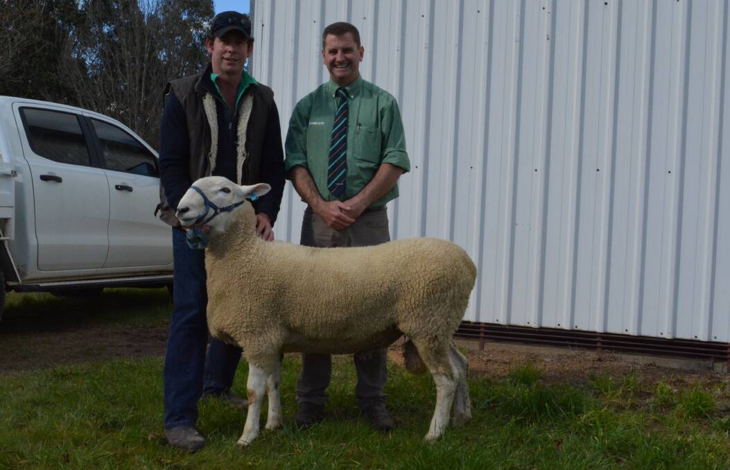 Normanhurst Border Leicester stud, Boorowa, co-principal, Tom Corkhill, holding the $2500 top price ram with the top price buyer's agent, Rick Power, Landmark, stud stock specialist, Boorowa. The stud recorded total clearance. 