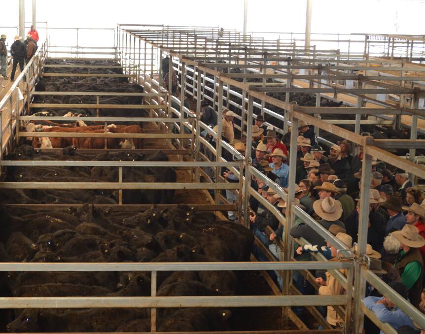 Beef price transparency progress continues