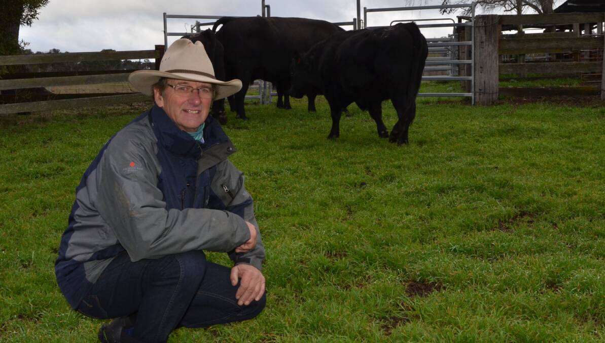 Kim Barnet, "Mirramoona", Walcha, has bred Angus cattle for more than 20 years, and started using low birthweight bulls five years ago.