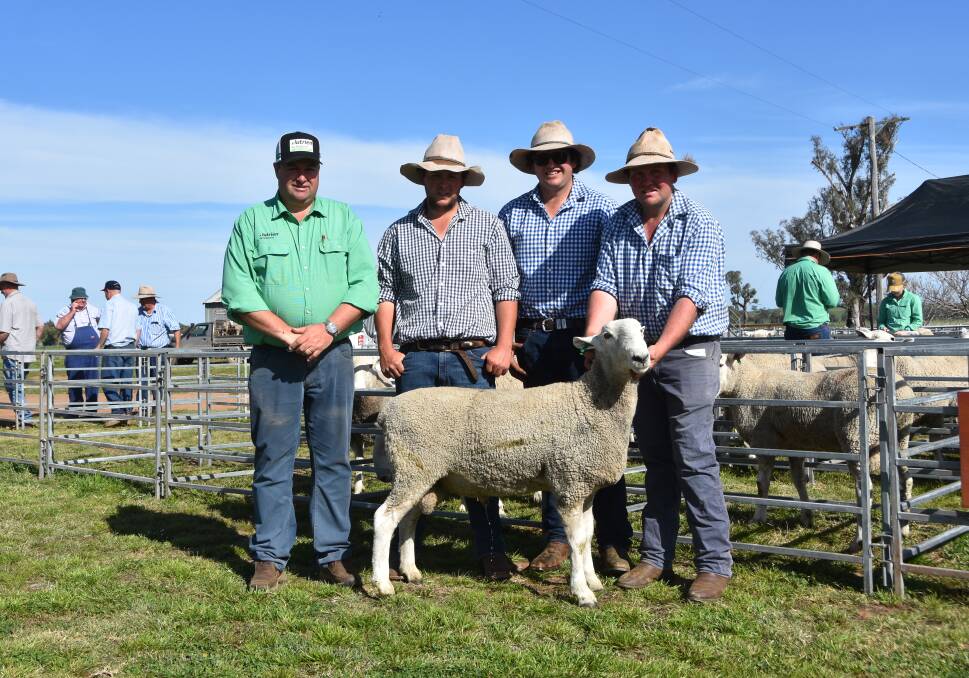Talbragar top price, tag 82, sold for $2800 to a Nutrien Victoria client with Brad Wilson, Nutrien Livestock and vendors Matthew "Curl", Daniel and Ben Simmons. 