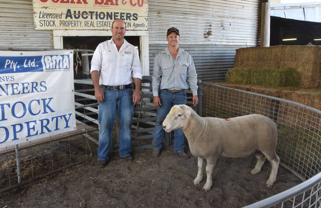 One of the two $1000 top price rams with Auctioneer Shad Bailey and vendor Nick Say, Yasloc, Glen Innes 