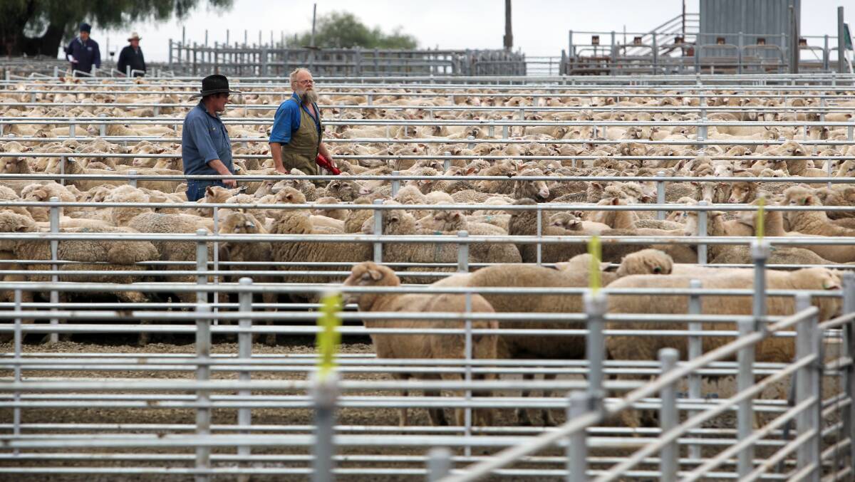 Corowa's saleyards are the fourth biggest sellling centre in NSW.