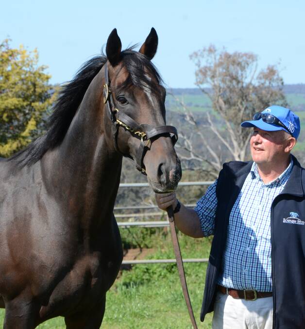 Bowness Stud owner/operator, John North, Young, with Bullet Train. Photo by Virginia Harvey