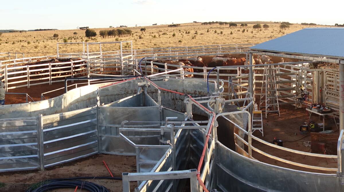 Part of the heavy duty cattle work area, which is safe and easy to use.