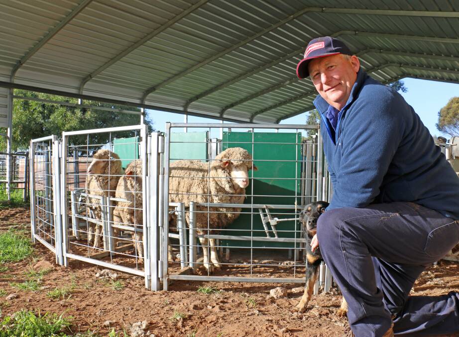 Urana producer Charlie Webb has solved the problem of sheep flow with his invention, Back Up Charlie. He designed the flexible sheep movement system to reduce operator fatigue and increase labour efficiency on his farm, Lakeside. 
