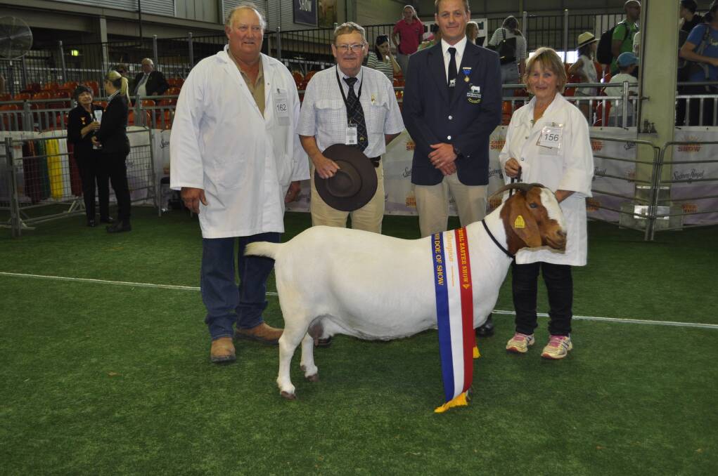 Grand Champion Standard Boer Doe with owners Paul and Janette Ormsby, Mugambi stud, Forbes, with ribbon presenter Brian Flower and judge Hein Booysen.