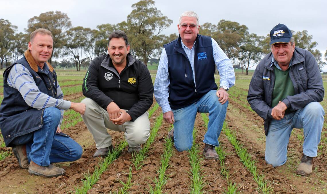 HMFD director Daryl Thomson, Culcairn; Aaron Giason and Geoff Baker, Baker Seed Co, Rutherglen, and HMFD chairman Ross Edwards, Yerong Creek, inspect the new wheat trials.