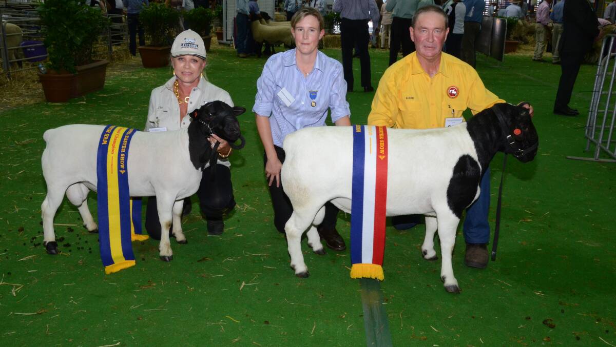 2015 reserve grand champion Dorper ram shown by Cherilyn Lowe, Nomuula Dorpers, Moombi; with judge, Adrea van Niekerk, Dell stud, Moama, and  grand champion ram held and exhibited by Mark Gett, Whynot stud, Narrabri.