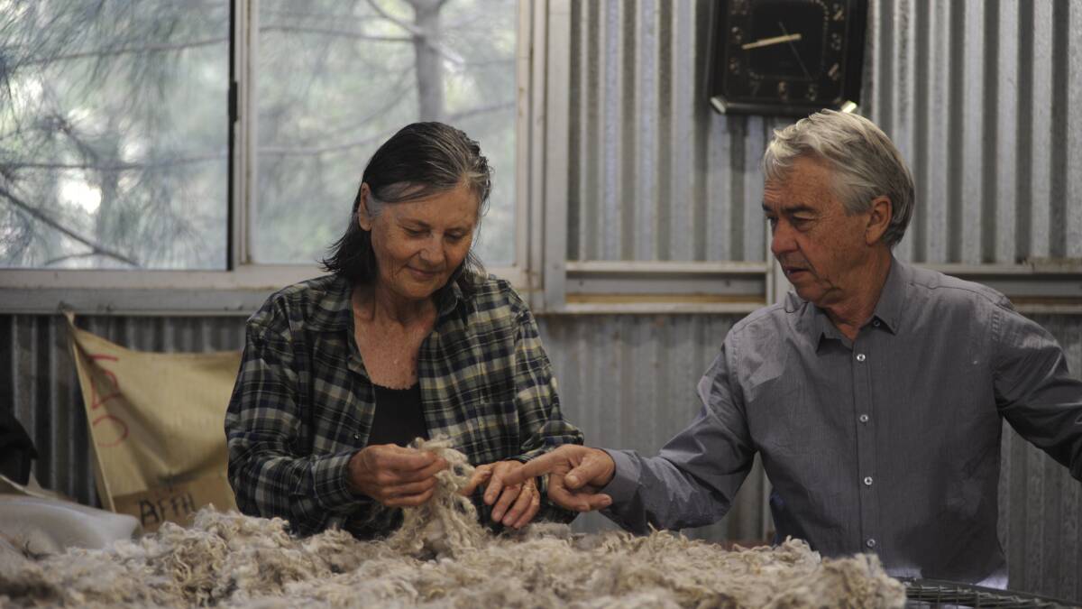 Sorting house: Trish and Richard Wilkinson sort the mohair fleece in the sheds.