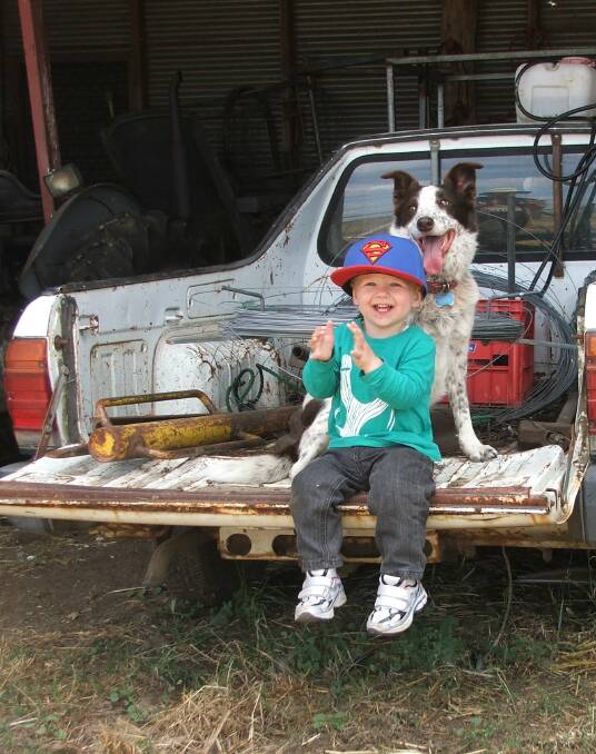Winning entry submitted by Cate Stanton, Fullerton, of Logan Davies and Tess in a 1987 Subaru ute.