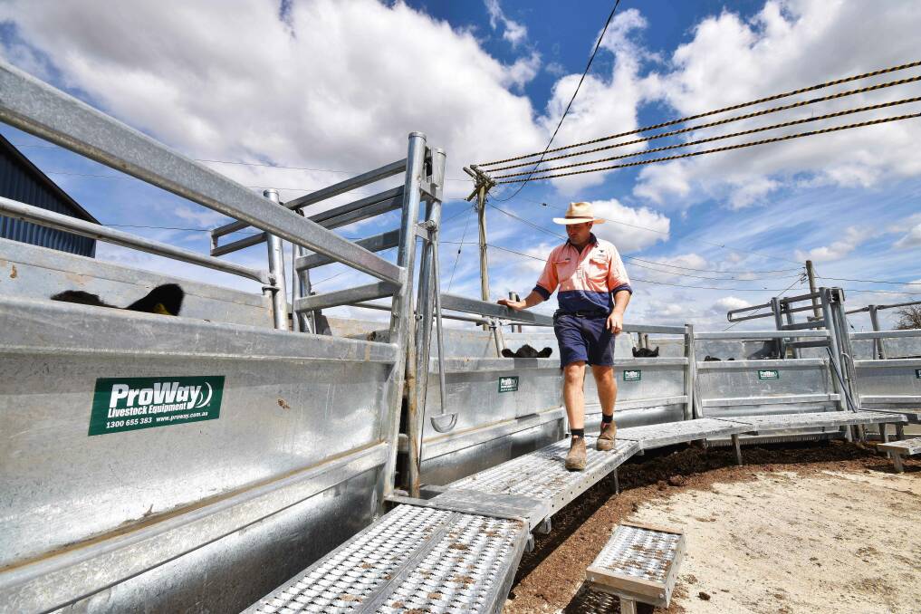 Frank Archer, Landfall Angus, loves his ProWay cattle yards. "We’re not worried about maintenance or repairs and we know we can rely on them."