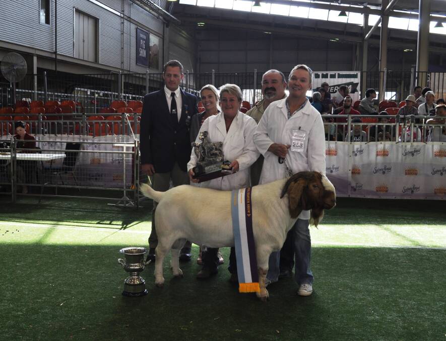 Best Boer Goat in Show Pacifica Shangaan with judge Hein Booysen, Pacifica's Tracey Wood, Richard Zidarew, and Pierre Bouwer.