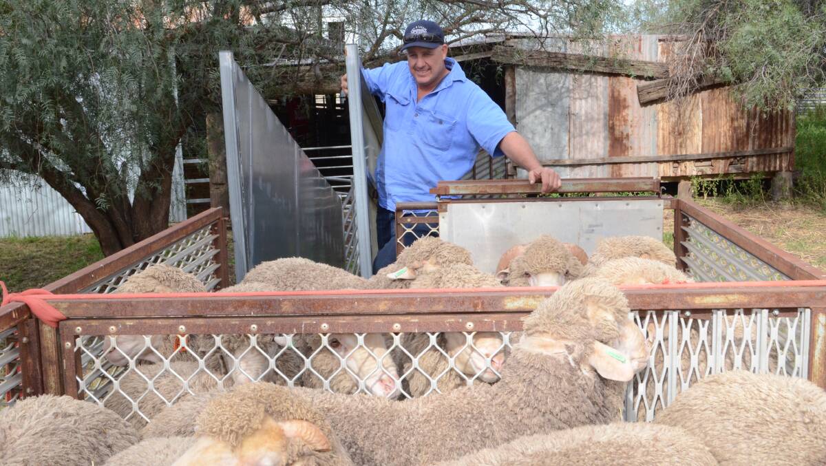 Grant Kitto, "Iandra", Tallimba, has followed the Ryan family since their inception and bought 18 rams for an average $1944.