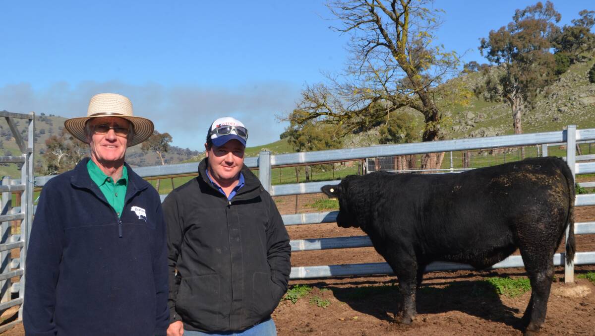 Bill Graham, Bongongo Angus, Coolac with top priced buyer Robert Harris, Coolac, who paid $17,000 and $10,000 for two bulls 