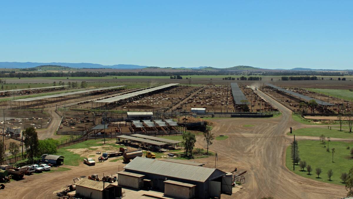 Sandalwood Feedlot, Dalby. The Roberts family runs a mixed cropping and livestock enterprise on 2000 hectares, including the 18,000-head custom feedlot.