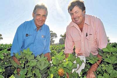 First-time cotton grower Ross Pedrana with Elders Trangie agronomist Glen Orman.