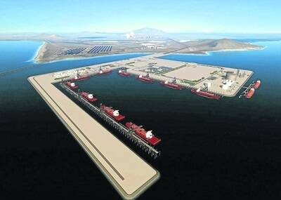 A $9 billion privately funded enlargement of Abbot Point coal terminal in North Queensland has been killed by the Newman State Government, a project that would have created one of the largest coal ports in the world and helped expand the coal industry.