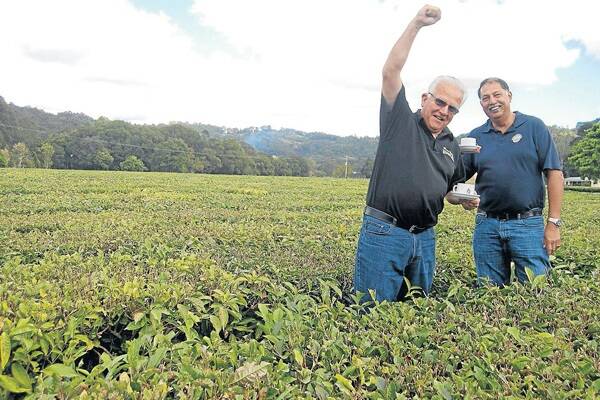 Madura director Gary Davey and technical manager of teas Michael Sales celebrate the plantation’s latest award, Best Tea Bag, judged by ratings company Canstar Blue.