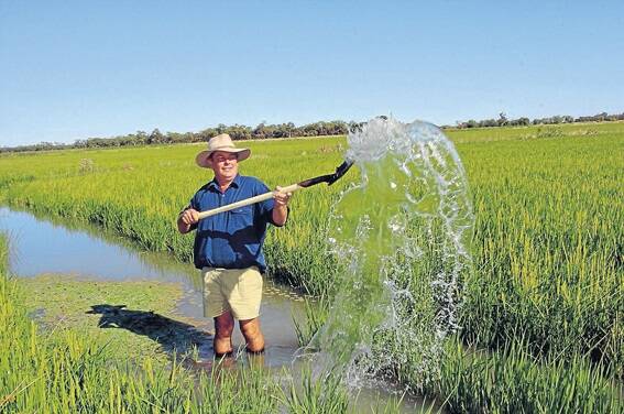 Chairman of the Ricegrowers Association Coleambally branch David Brain, Farm 180, Coleambally, is one of many irrigators who will benefit from the government’s $10 billion plan.