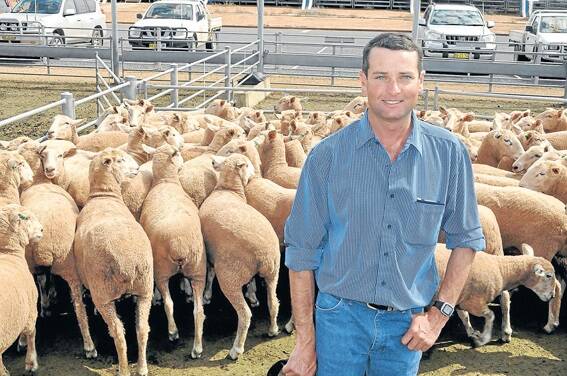 Darrell Hodges, “Baldrudgery”, Baldry, shelled out for the top-priced pen at the Forbes store sheep sale last Thursday.