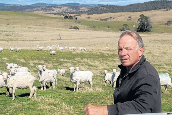 Stewart Reid, “Murlingbung”, Berridale, set-stocks his Merino ewes, joined to White Suffolk rams, during lambing to ensure they always have shelter.