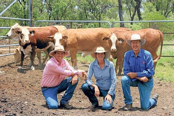 Joe and Felicity Streeter with Andrew Simmons, “Karinya”, Taroom, Queensland, with Simmental/Droughtmaster heifers.