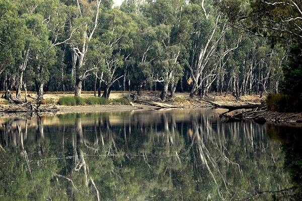 NSW to cap water buybacks