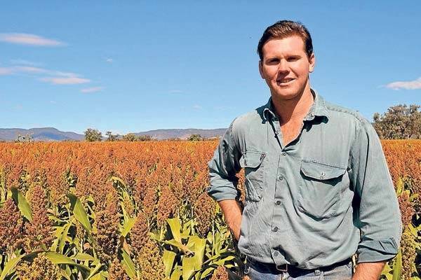 Premer cropper Andrew Campbell, “Rockgedgiel”, has one eye fixed on the weather forecasts and the other on his sorghum as he hopes his crop will ripen before the frosts set in.