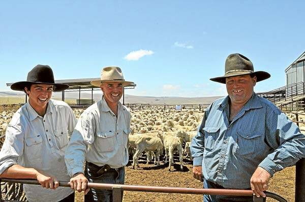 Charlie Maslin (centre), "Gunningrah", Bombala, his son John, and manager Damien Ventry, all of Gunningrah Pastoral Company, Bombala, bought 1095, 1.5-year-old Merino wether lambs for a top of $53 at the Bombala sale last week.