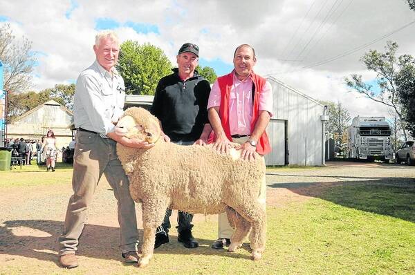 TOP RAM: Kevin Crook, Tamaleuca stud, Ouyen, Victoria, sold the top-price $2100 ram to Lindsay Plant, Wandown, Manangatang, Vic, at Wentworth Show on Sunday. They are pictured with Elders north west district wool manager Andrew Williamson.