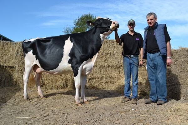 Trevor Zanders, Cairnhill Holsteins, Kialla, with the $80,000 cow he sold yesterday, held by Andrew Cullen, NSW.