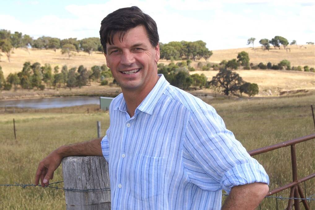 Liberal Member for Hume, Angus Taylor.