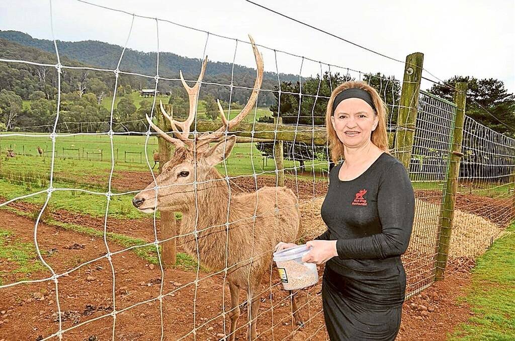 Grace Cavedon, Red Stag Deer Farm in Victoria’s Snowy Mountains region, runs the farm’s restaurant which serves venison produced on the property.