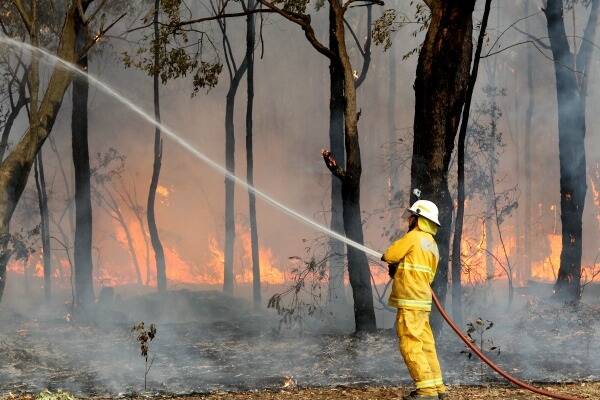 A firefighter trying to contain a blaze at Winmalee in NSW's Blue Mountains. Photo: Janie Barrett.