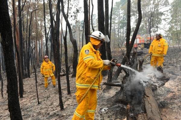 Firefighters doing backburning around the township of Bilpin in the Blue Mountains this week.