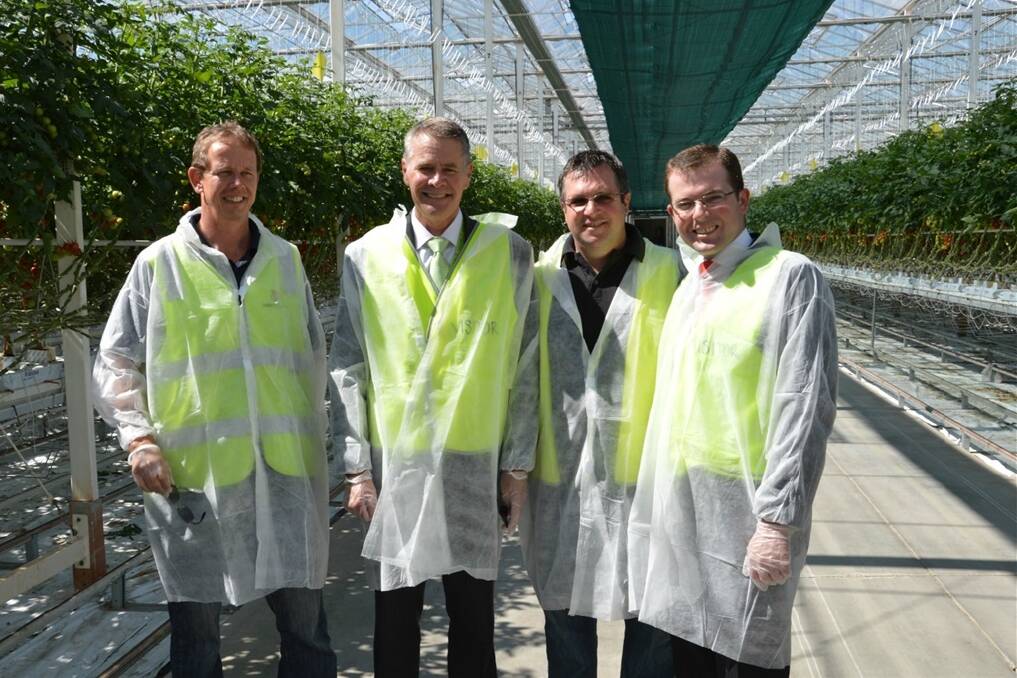 Costa Exchange technical and business development manager Godfrey Dol shows  Deputy Premier Andrew Stoner and Northern Tablelands MP Adam Marshall through its Guyra glasshouse facility with (second from right) production manager Rodney Merrit.