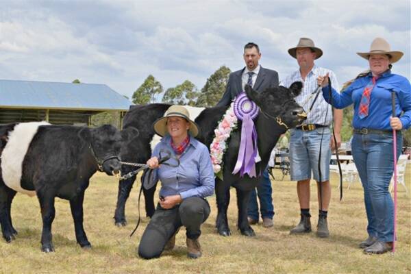 Interbreed senior female went to DMB Faith, led by Rachel McLucas and calf DMB Jane, led by owner Dianne Burgess, DMB Galloways, Sutton, with judge Lee White, Llandillo Beef, Bathurst, and Bill Kuipers, Wigram Lowline stud, presenting the ribbon.