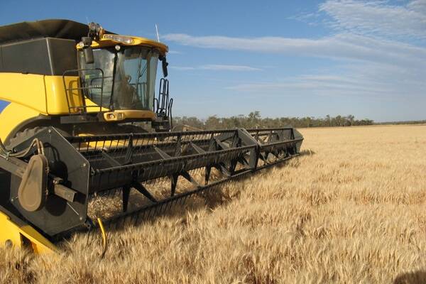 ABARES forecasts show NSW winter crop falling.
