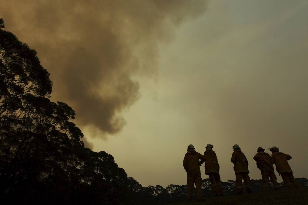 NSW RFS crews near the fire front during the October bushfires. Photo: Wolter Peeters