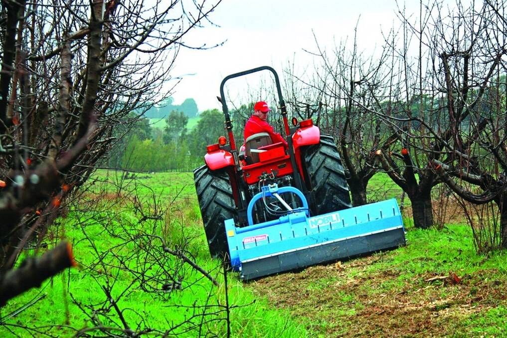 The new Nobili BV PRO 2040 breaking down cherry tree prunings up to 100mm in size in a Victorian orchard.