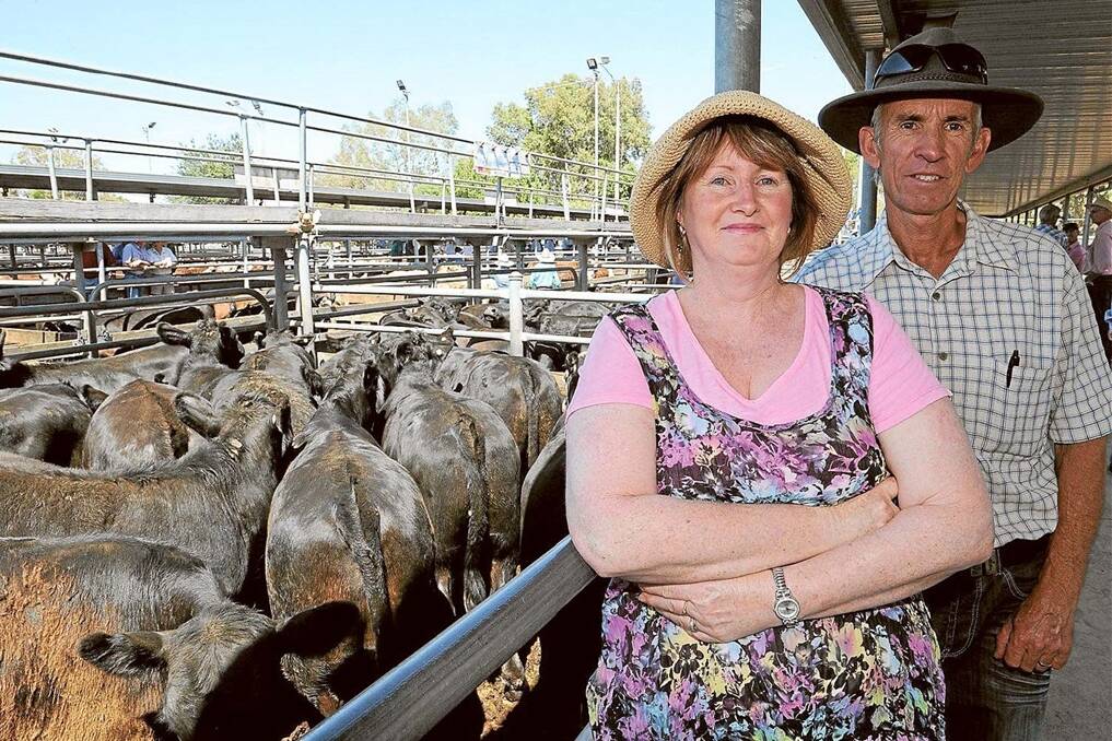 Helen and Peter Kirkbride, Pellepar Pastoral, Baddaginnie, Victoria, sold 10-month-old Angus/Simmental Steers at the Wodonga NVLX Premier Annual Weaner and Grown Steer Sale.
