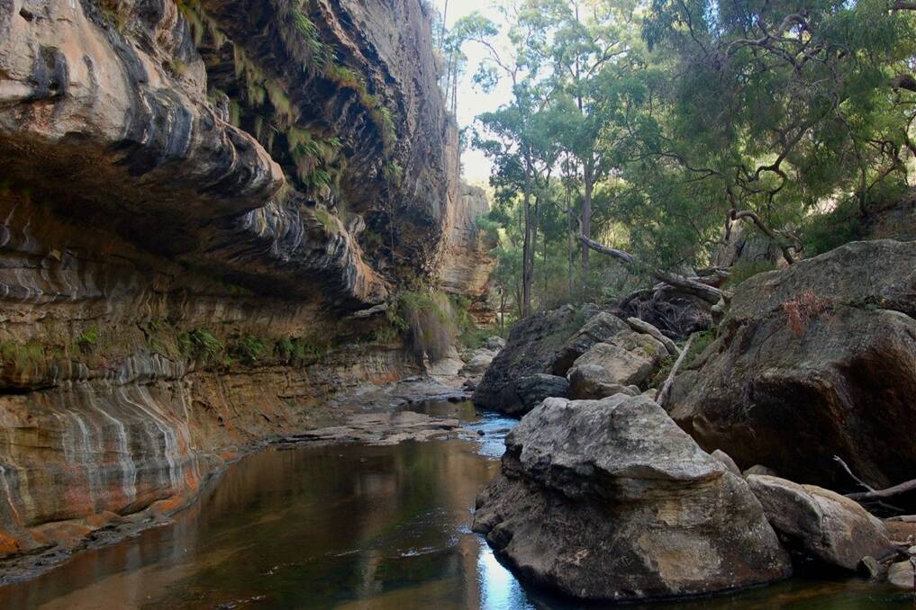 The Drip Gorge is a groundwater dependent sandstone feature on the north-western edge of the Sydney Basin. 