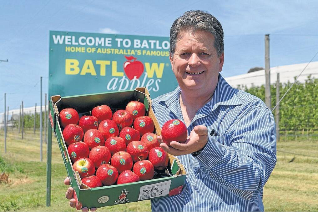 Batlow Fruit Co-operative general manager John Power with a tray of Pink Lady apples.