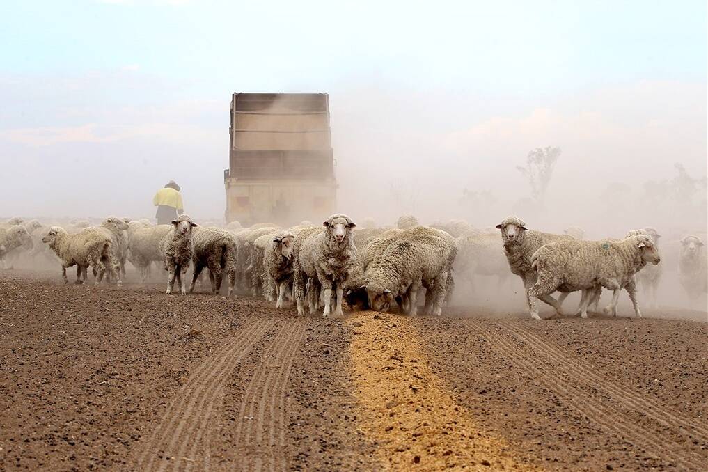 Drought assistance expanded in NSW