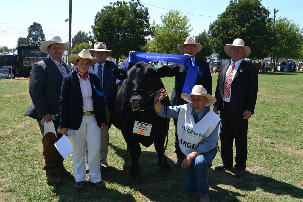 Pictured with the Canberra Royal show’s champion of champions, Rosskin Admiral H19, are judges Tim Bayliss, Armidale, Bethany Bayliss, Armidale, Graham Williams, Windsor, Mark Lucas, Tumut, Adam Walters of Rosskin Angus, Dalgety, holding the bull, and judge Peter Falls, Finley. 