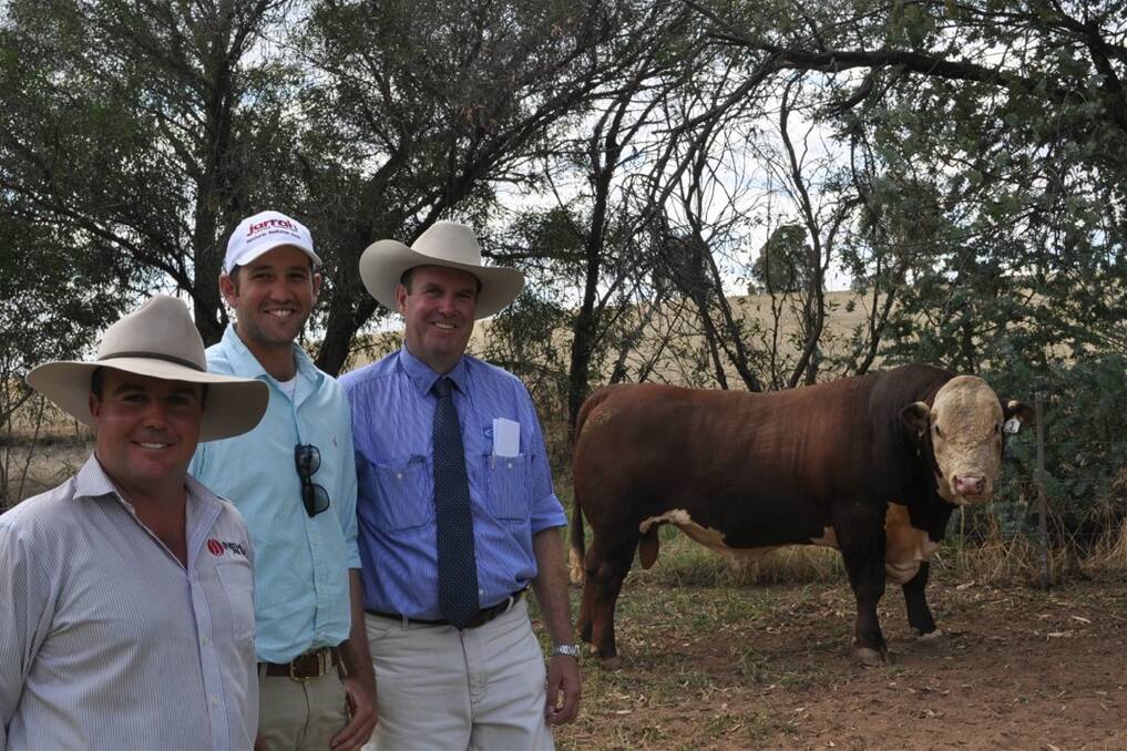 Marc Greening, Injemira Beef Genetics, with buyer of the $45,000 bull Sam Becker, Jarrah Herefords, Rockhampton, Qld, and auctioneer Paul Dooley, Tamworth.