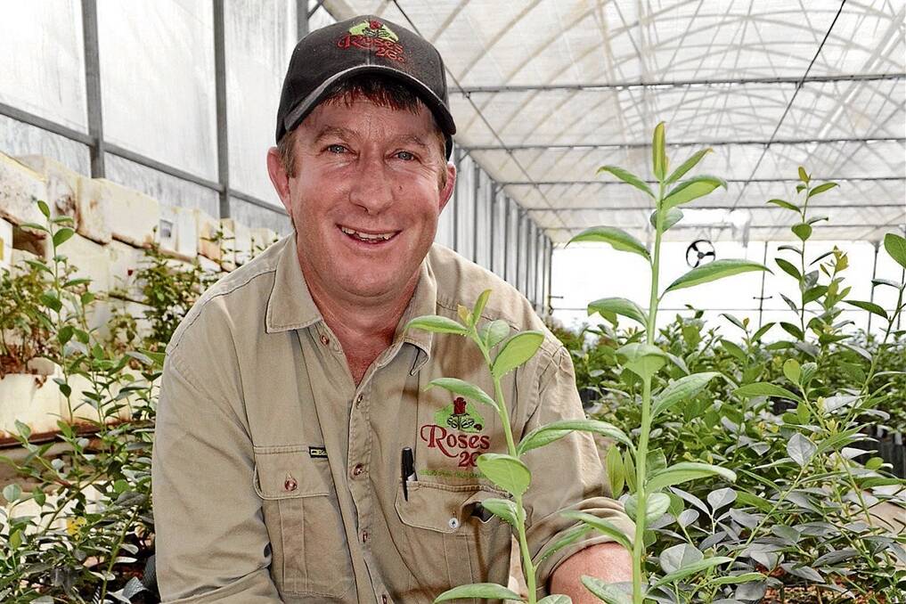 Wade Mann with a hydroponically-grown blueberry plant after six weeks.