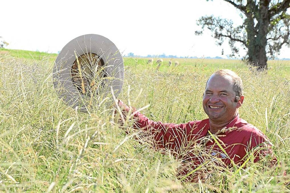 Peter Howe shows off his paddock of Gatton Panic and Premier Digit grass mix with other sub-tropicals in a paddock at “Dunnield”, Trangie, the same spot he and his wife, Fiona were photographed in in late January when there were only toughs growing prior to the autumn rain break. 